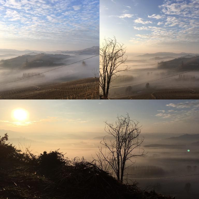 Pensjonat Il Vigneto Roddi Zewnętrze zdjęcie
